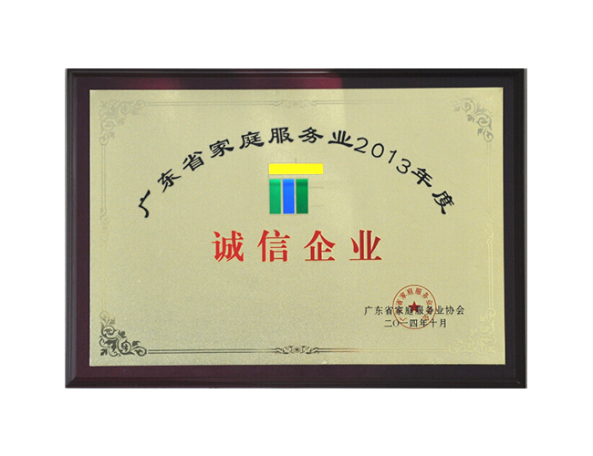 廣東省家庭服務業2013年度